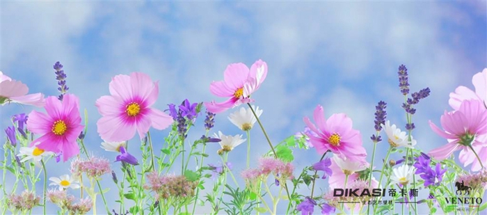 植树节|春风十里,不如一片绿意